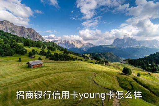 招商银行信用卡young卡怎么样