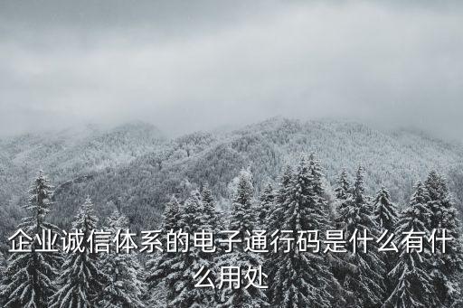 企业诚信体系的电子通行码是什么有什么用处
