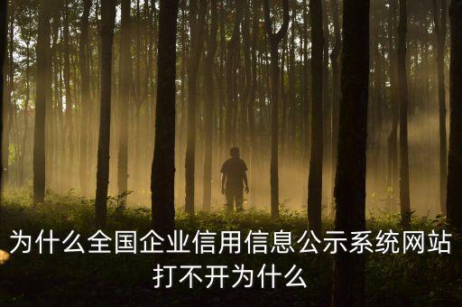 为什么全国企业信用信息公示系统网站打不开为什么