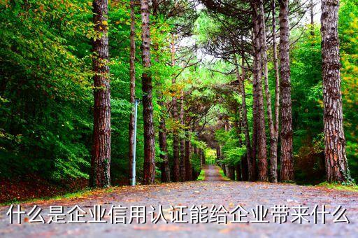 什么是企业信用认证能给企业带来什么
