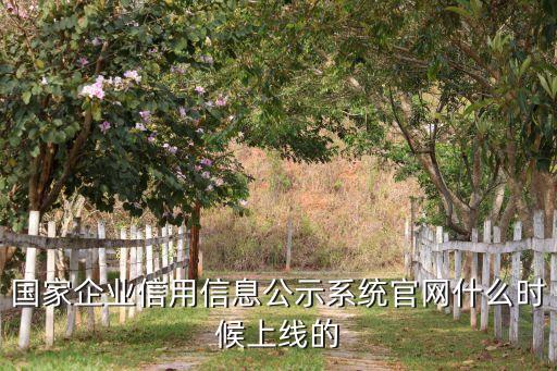 国家企业信用信息公示系统官网什么时候上线的