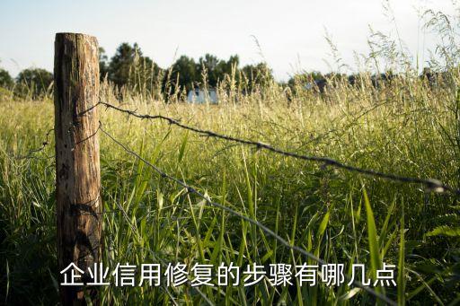 企业信用修复的步骤有哪几点