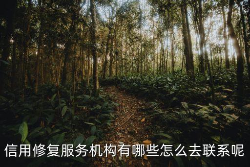 信用修复服务机构有哪些怎么去联系呢