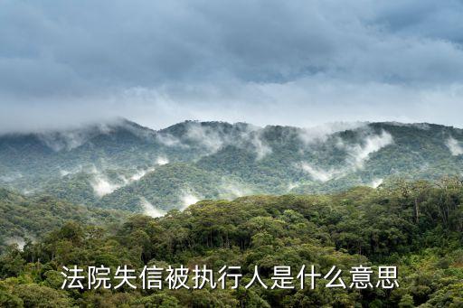 失信人是什么意思，失信代表什么意思