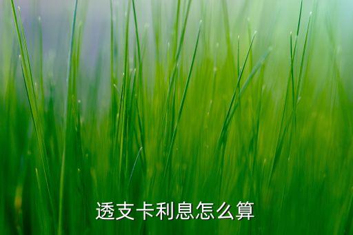 透支卡利息怎么算