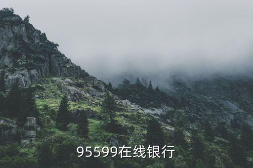 95599，95599是什么的