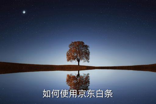 如何使用京东白条