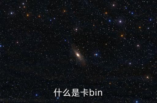 卡bin，什么是卡bin