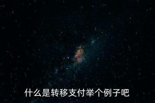 什么是转移支付举个例子吧