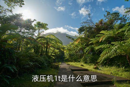 1t是什么意思，移动硬盘1t是什么意思