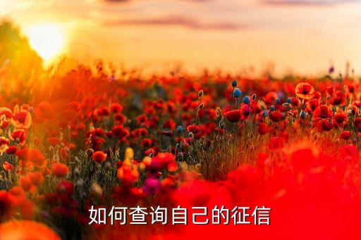 如何查询自己的征信