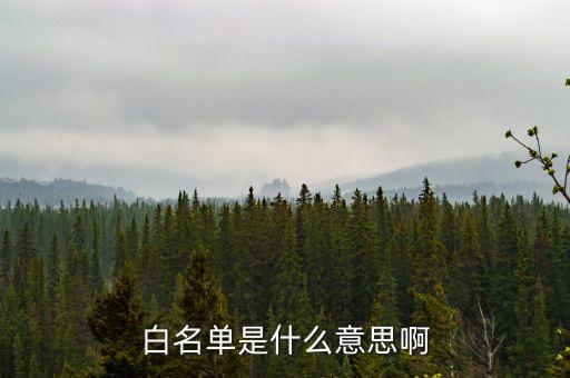 白名单什么意思，白名单是什么意思