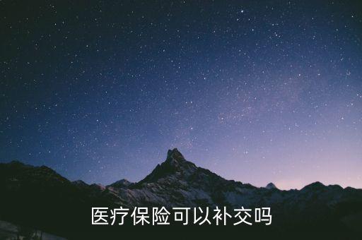 医疗保险可以补交吗