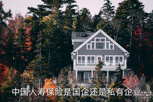 中国人寿是国企吗，中国人寿保险是国企还是私有企业