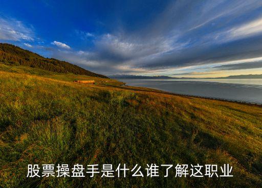 股票操盘手是什么谁了解这职业