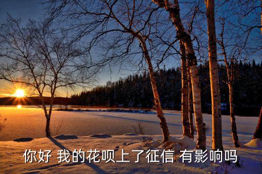 你好 我的花呗上了征信 有影响吗