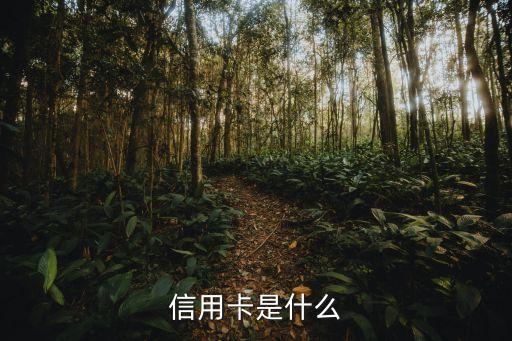 信用卡是什么