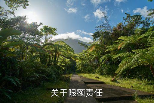 责任限额，关于限额责任
