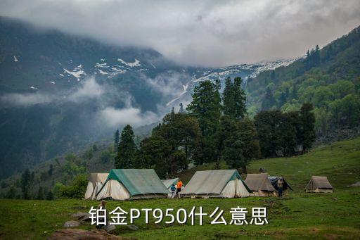 铂金pt950，铂金PT950什么意思