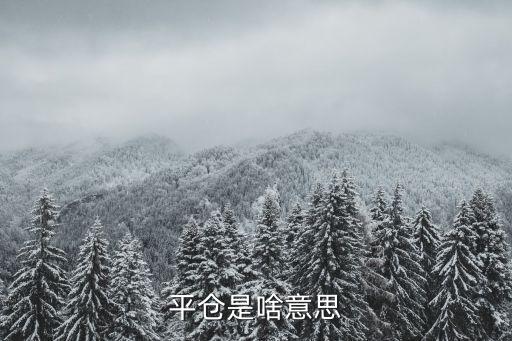 平仓是啥意思