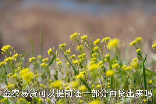 金农易贷可以提前还一部分再贷出来吗