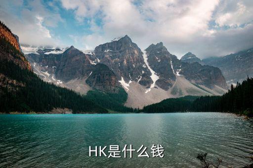 hk是什么货币，外汇交易类型里的HK和USD是什么意思