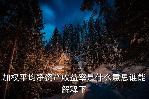 加权平均净资产收益率是什么意思谁能解释下