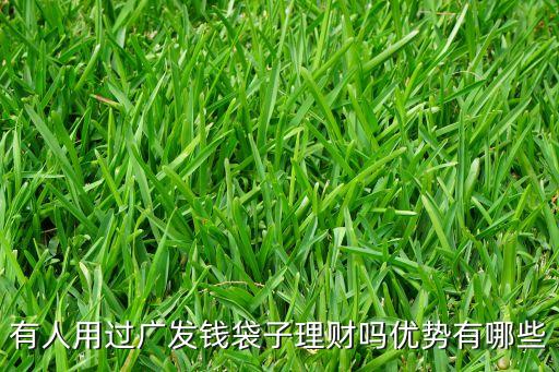 广发钱袋子，有人用过广发钱袋子理财吗优势有哪些
