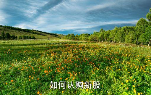 如何认购新股