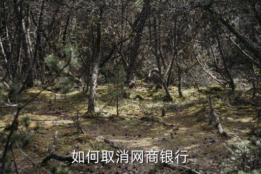 怎么关闭网商贷，农村商业银行如何取消网银