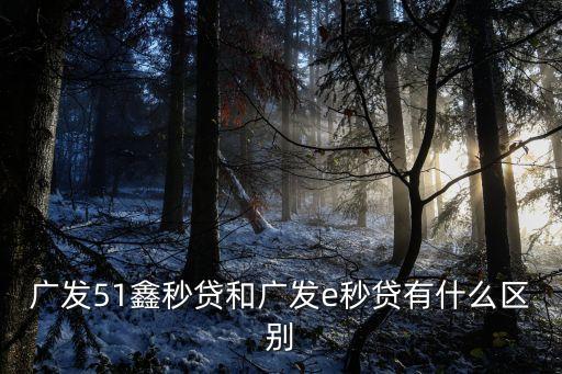 广发51鑫秒贷和广发e秒贷有什么区别