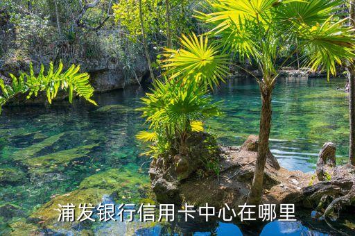 浦发银行信用卡中心在哪里
