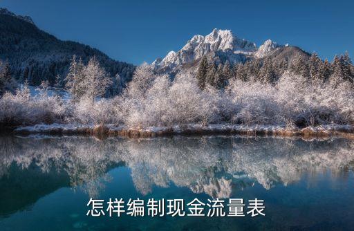 怎样编制现金流量表