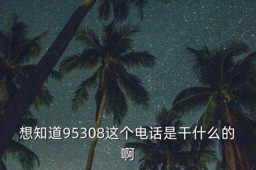 想知道95308这个电话是干什么的啊