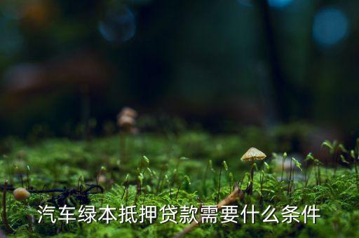 汽车绿本抵押贷款需要什么条件