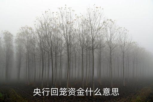 央行回笼资金什么意思