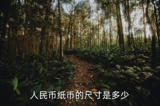 人民币纸币的尺寸是多少