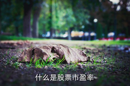 什么是股票市盈率