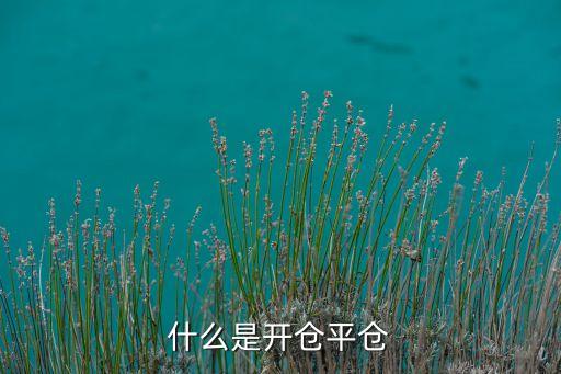 什么是开仓平仓