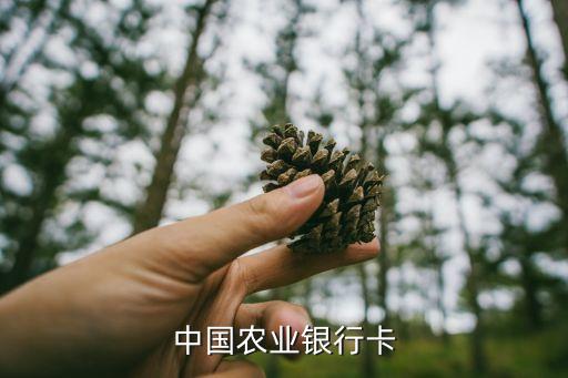 中国农业银行卡