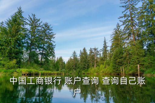 工商银行账户查询，工商银行自己的帐户怎么查询