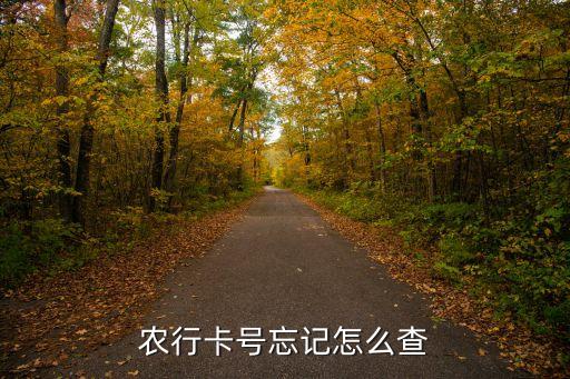 农行卡号忘记怎么查