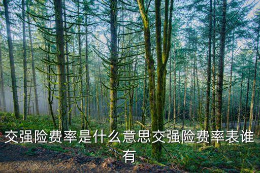 交强险费率，交强险费率是什么意思交强险费率表谁有