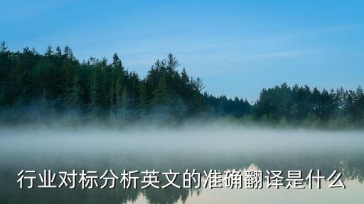 对标是什么意思，对标对手是什么意思