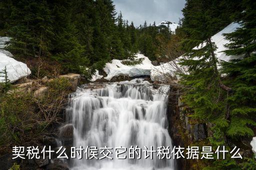 契税什么时候交它的计税依据是什么