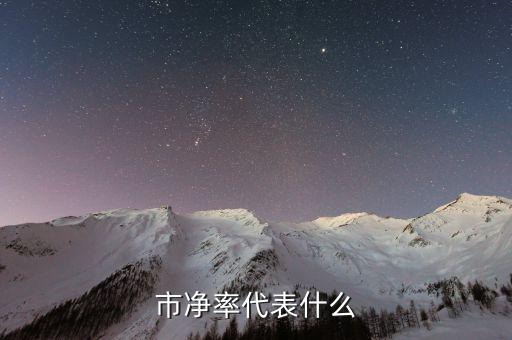 市净率是什么意思，市净率代表什么