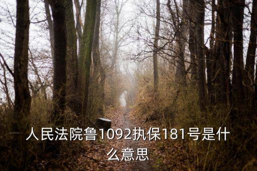 人民法院鲁1092执保181号是什么意思