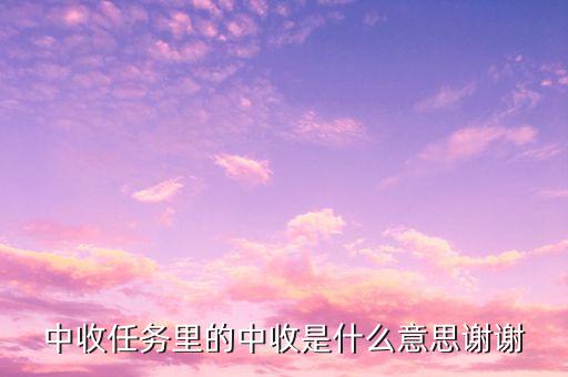 中收任务里的中收是什么意思谢谢
