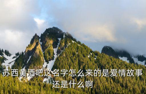 苏西黄酒吧这名字怎么来的是爱情故事还是什么啊