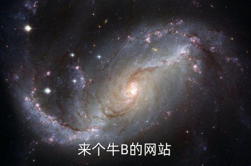 来个牛B的网站